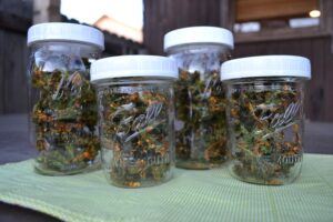 Nacho kale chips in jars