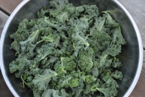 Torn kale in a bowl